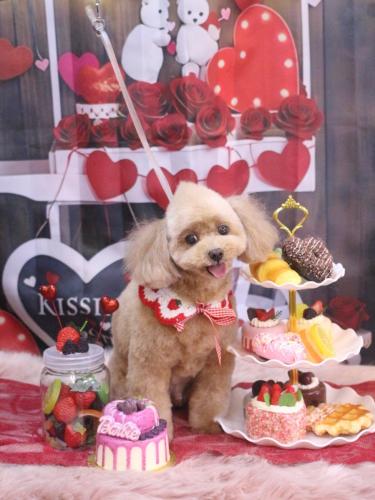 20250207バーディーくん